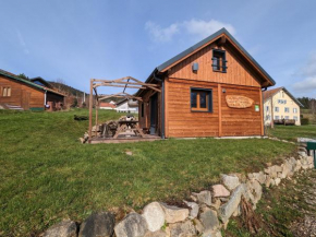 Chalet neuf à Gérardmer avec terrasse et parking privé - FR-1-589-465